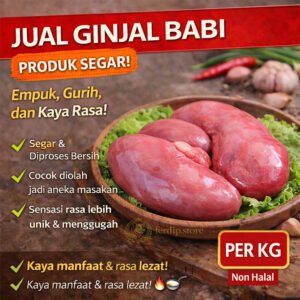 ginjal babi produk