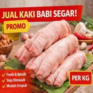 Kaki Babi per KG 1