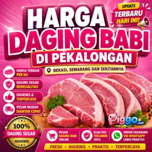 harga daging babi