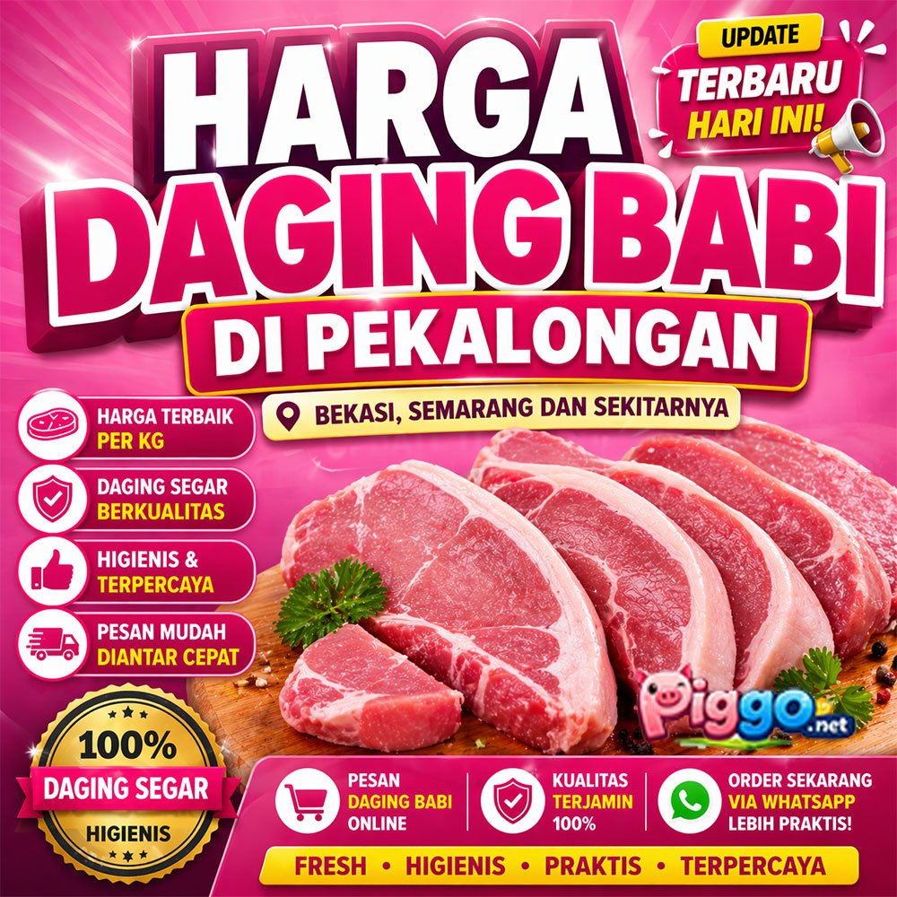 harga daging babi