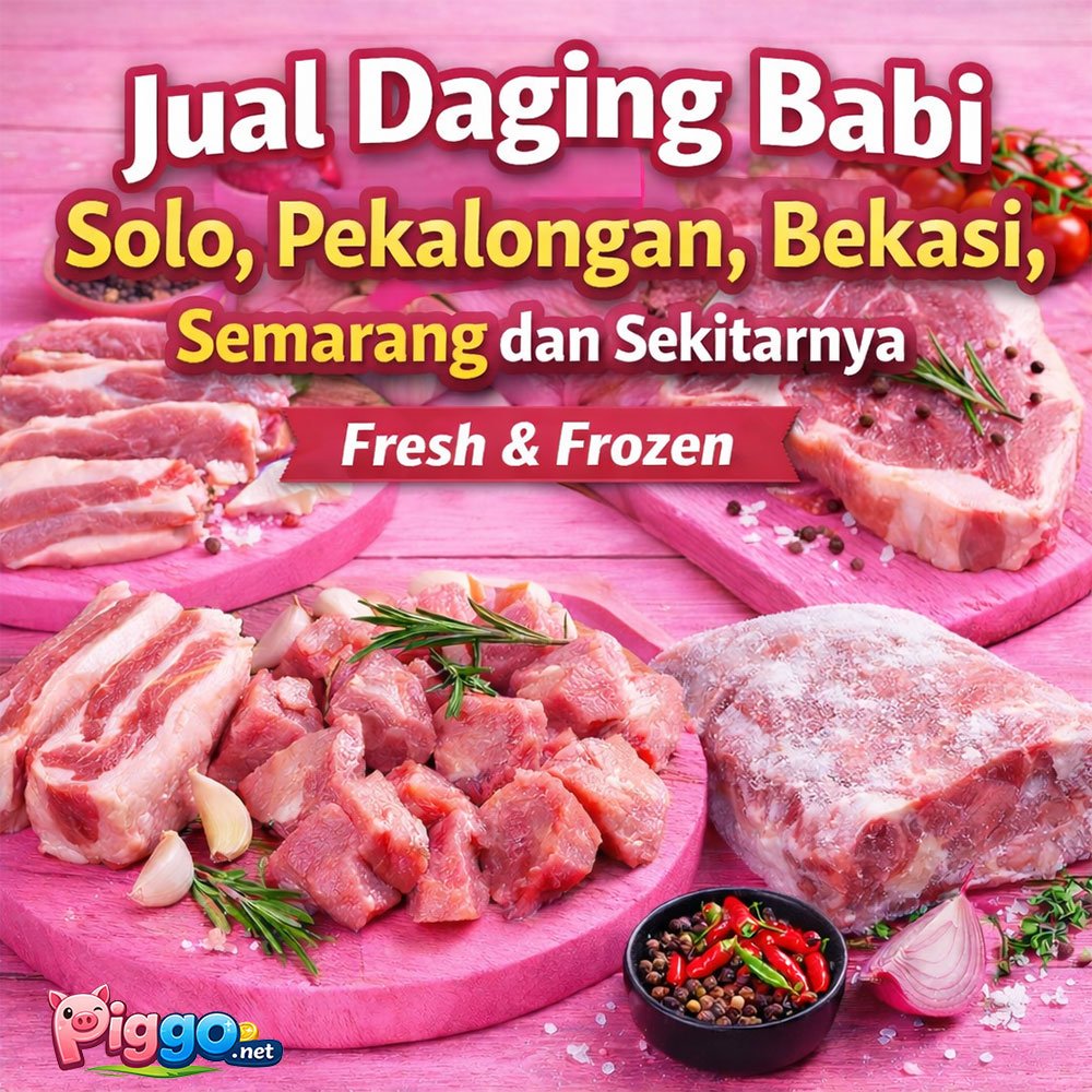 jual daging babi solo pekalongan bekasi semarang dan sekitarnya