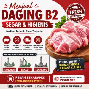 jual daging b2 terdekat img